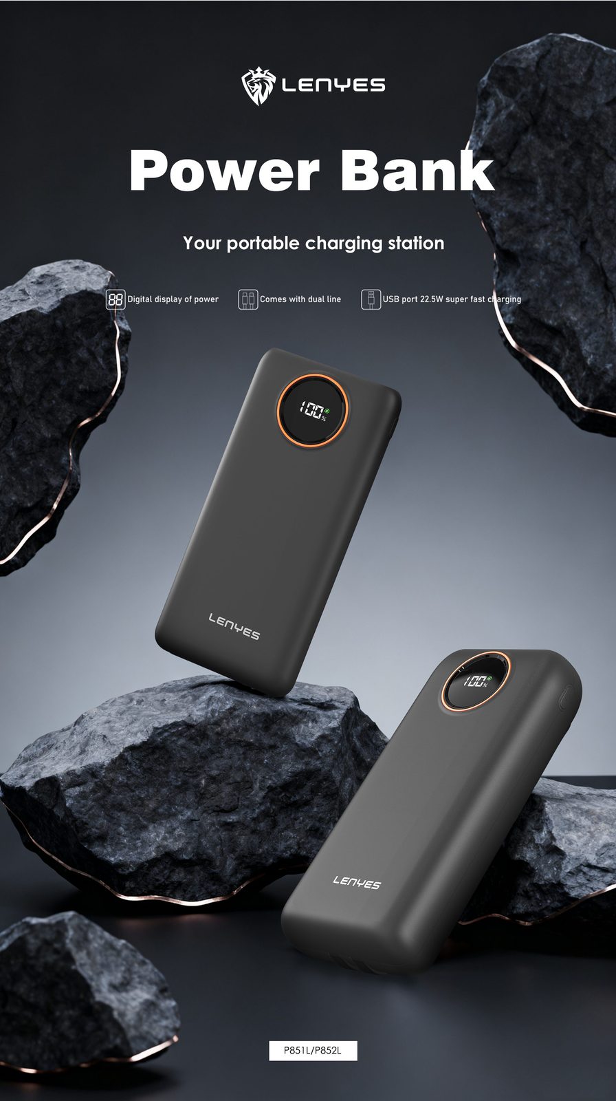 Powerbank Lenyes P852L 20.000mAh vista 4